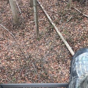 Meet your Posher, Grahme